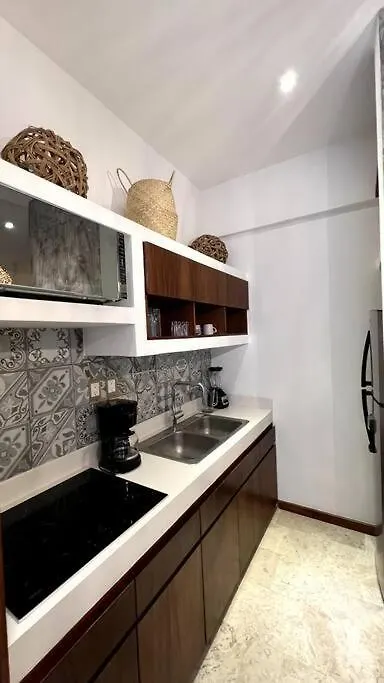 Luxury Apartment 2 Bedrooms With Jacuzzi Pp2 Tulum Mexiko